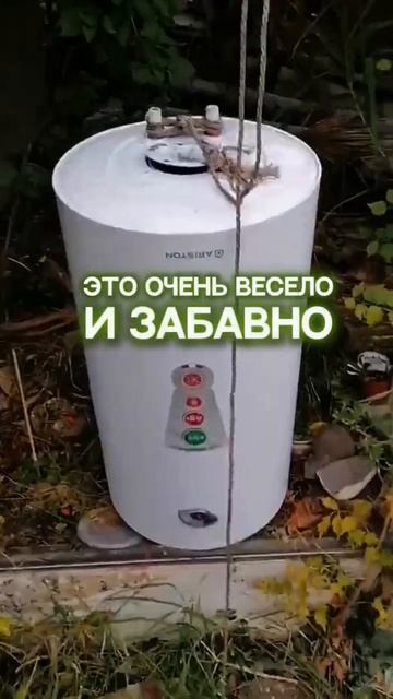 #nature #adventure #природа #осенняяпора #печаль #цветы #замена