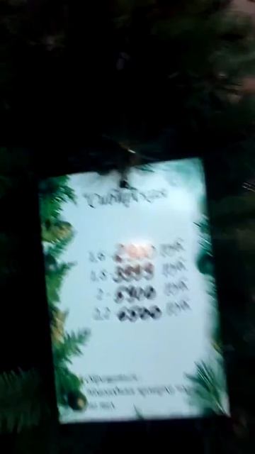 МЕГА Адыгея-Кубань сколько стоит ёлки :) смотреть онлайн