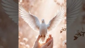 8. ☀️ Читаю Новый завет. Евангелие от Иоанна 20-22 главы.