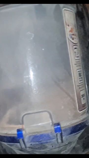 циклон на скорую руку #чибисовандрей #своимируками #ци смотреть онлайн