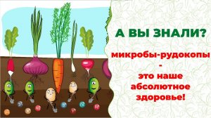 А ВЫ ЗНАЛИ? Открытие: 90% нашего здоровья дают микробы-рудокопы. Большой доцент А.М. Пугин