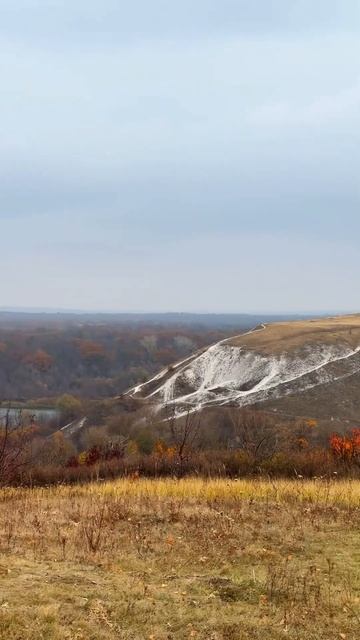 Приезжайте в Тихие Дивы!89102883513. Воронеж.обл.Кирпичи #ти смотреть онлайн