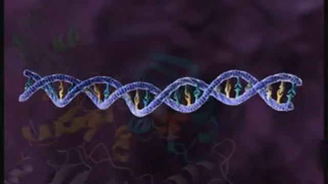 Фильм цикл жизни ВИЧ, ВААРТ смотреть онлайн