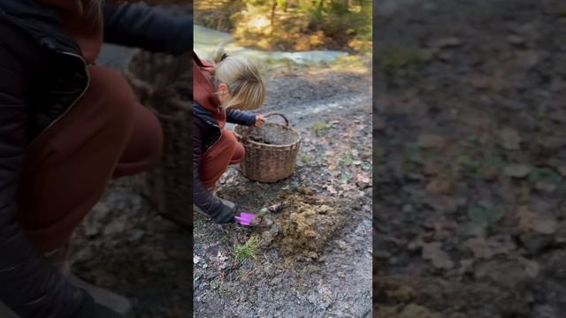 В лес за подснежниками, а вернулись с лошадиными какаш