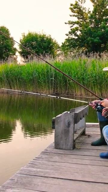 Как в детстве с дедом на рыбалке. #природа #рыбалка #вос смотреть онлайн