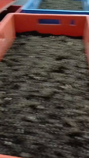 Сеимкрутимсепымутим черви дэндробена стройка сад