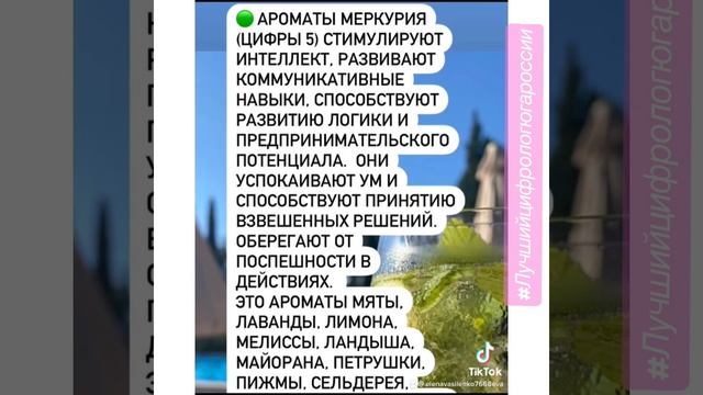 Ароматы, эфирные масла, эфир - это цифра 3 в дате рожден? смотреть онлайн