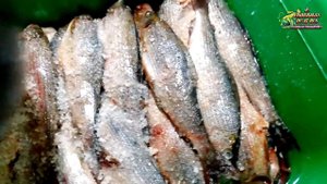 Засолка и копчение хариуса. Хариус холодного копчения