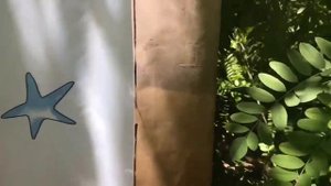 Трехдневная рыбалка на реке Дон в п. Махино