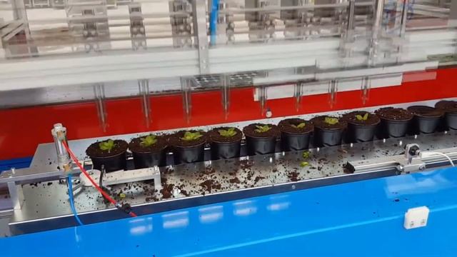 Робот RW от URBINATI для пересадки растений смотреть онлайн