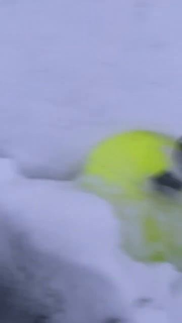 Есть, еще одна сработка вечерняя! #shorts #fishing #nature #fish #рыб смотреть онлайн