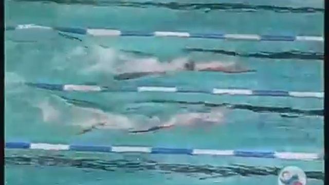 Подводное плавание (плавание в ластах) смотреть онлайн