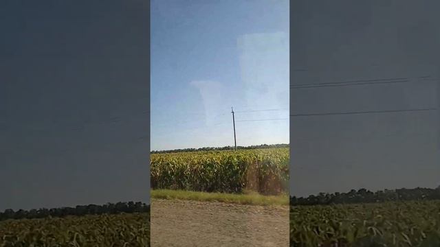 мы едим в ейск к зубнеку 👍👍👍👍👍👍👍👍👍👍👍👍 смотреть онлайн