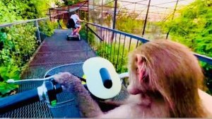 Люська РУЛИТ САМОКАТОМ и совсем не хочет общаться со своими РОДСТВЕННИКАМИ ГАМАДРИЛАМИ!