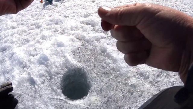 Зимняя рыбалка! Закрытие сезона! Вячеславское водохра