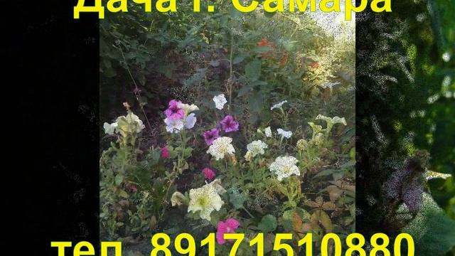 Ролик для Авито. Дача алмаатинка старазагора Самара сдам аренда