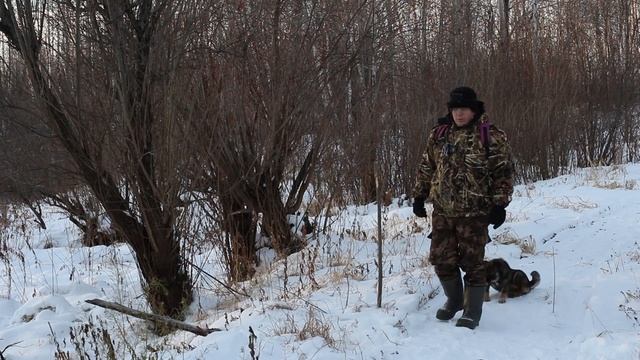 Подкормка животных зимой.