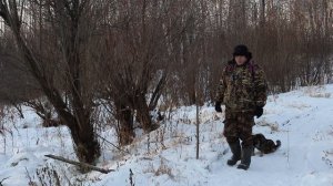 Подкормка животных зимой.