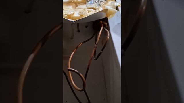 Холодильник из меди. Медяха. медь цветмет халява баб