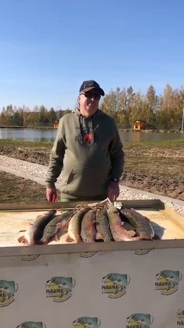 Улов гостя.Рыбалка в Подмосковье/ Платная рыбалка в Т? смотреть онлайн