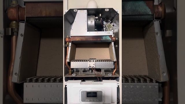 Не разжигается котел Протерм Пантера.Причина в мембра смотреть онлайн