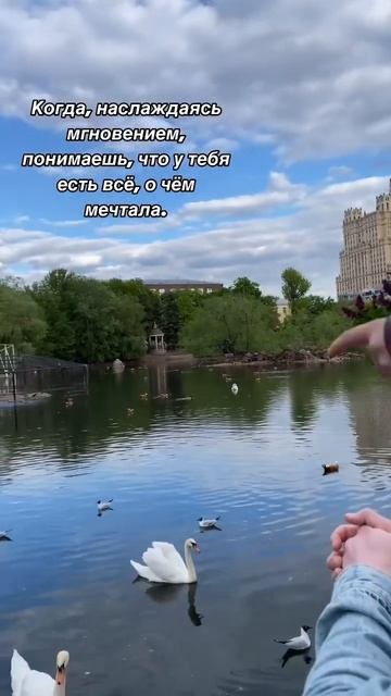 Цените то, что имеете. За забором всегда трава зеленее. смотреть онлайн