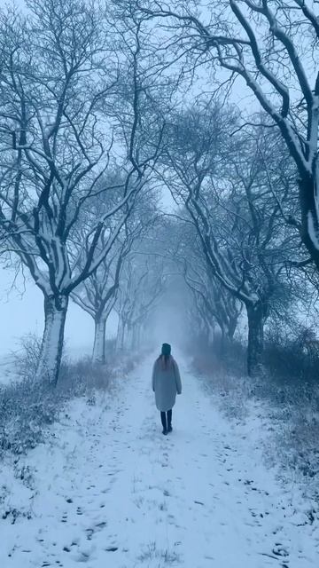 Подпишись 2024 музыка врек