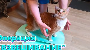 Операция "ВЗВЕШИВАНИЕ".