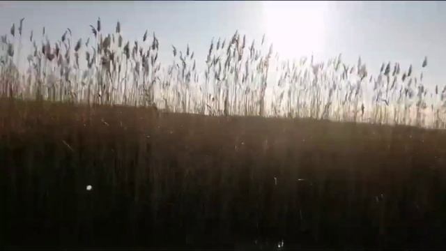 ОТКРЫТИЕ сезона ПОДЛЕДНОЙ рыбалки 2024-2025!!! ПЕРВЫЙ лед!!!