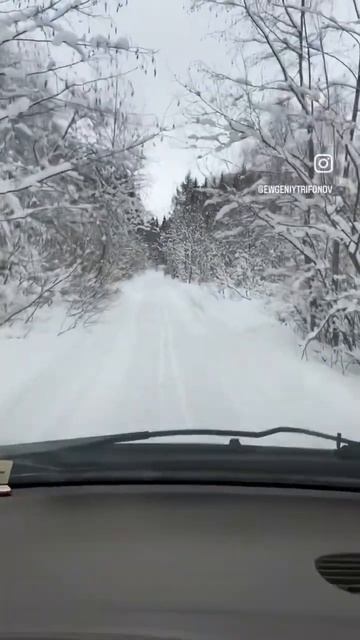 Как думаете куда поехали?