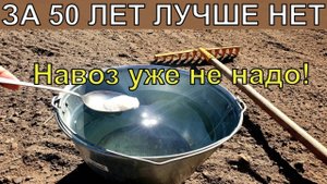 НАВОЗ НЕ НУЖЕН! 1 Ложку на ведро воды и земля как новая, пролейте землю для обильного урожая всего