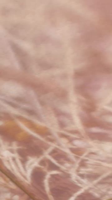 Калач на Дону рыбалка с друзьями смотреть онлайн