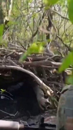 Бегут ВСУ и не забирают своих же павших бойцов