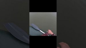Ловля щуки на кружки