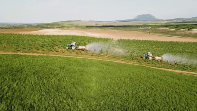 Сады Бештау смотреть онлайн