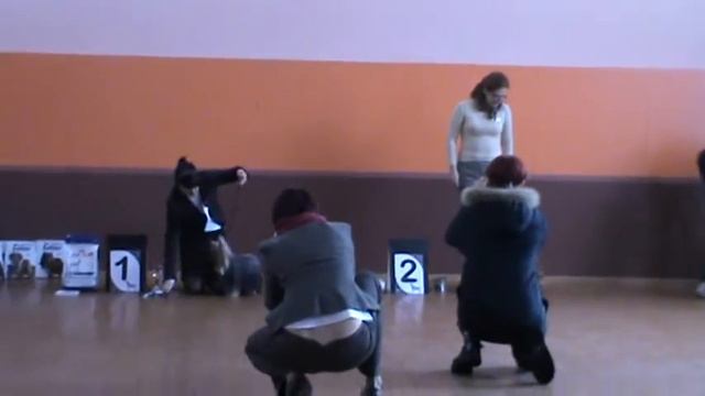 M2U00054.MPG Бест 4 группы смотреть онлайн