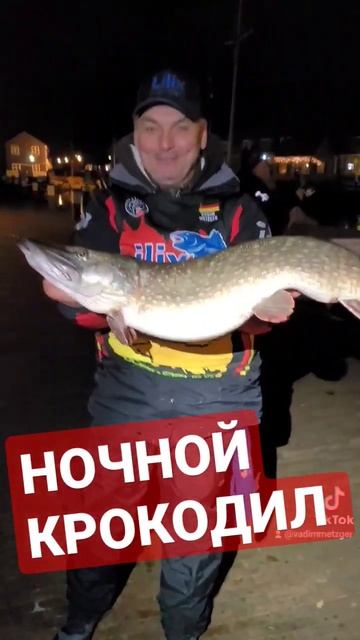 Ночью клюют трофейные щуки #youtubeshorts #fishing #fishingtips #youtubefish смотреть онлайн