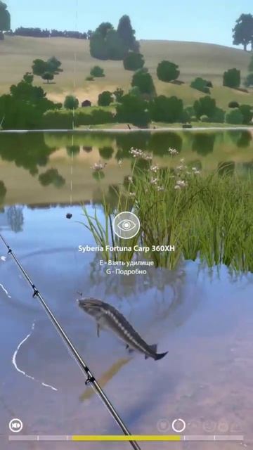 Давненько  я не фармил  на суре  ,в принципе стерлядь и ? смотреть онлайн