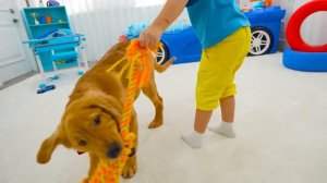 Влад и Никита Крис хочет завести домашнее животное и играет с собакой-роботом