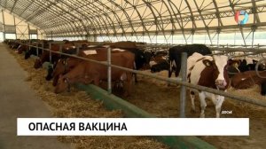 Опасная вакцина