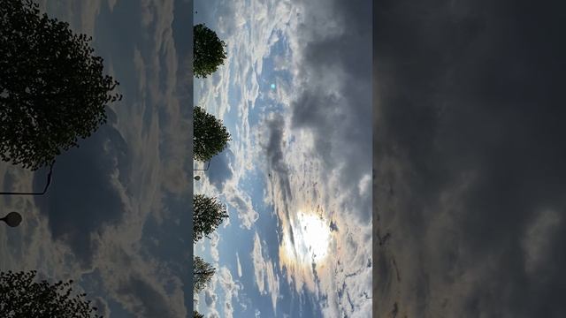 «Железная птица»