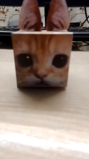 делаю ель Гато😸 смотреть онлайн