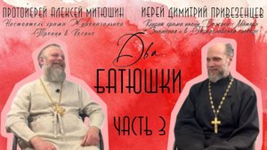 Какая может быть исповедь - строгая или мягкая/ДВА БАТЮШКИ/иерей Димитрий Привезенцев ЧАСТЬ 3