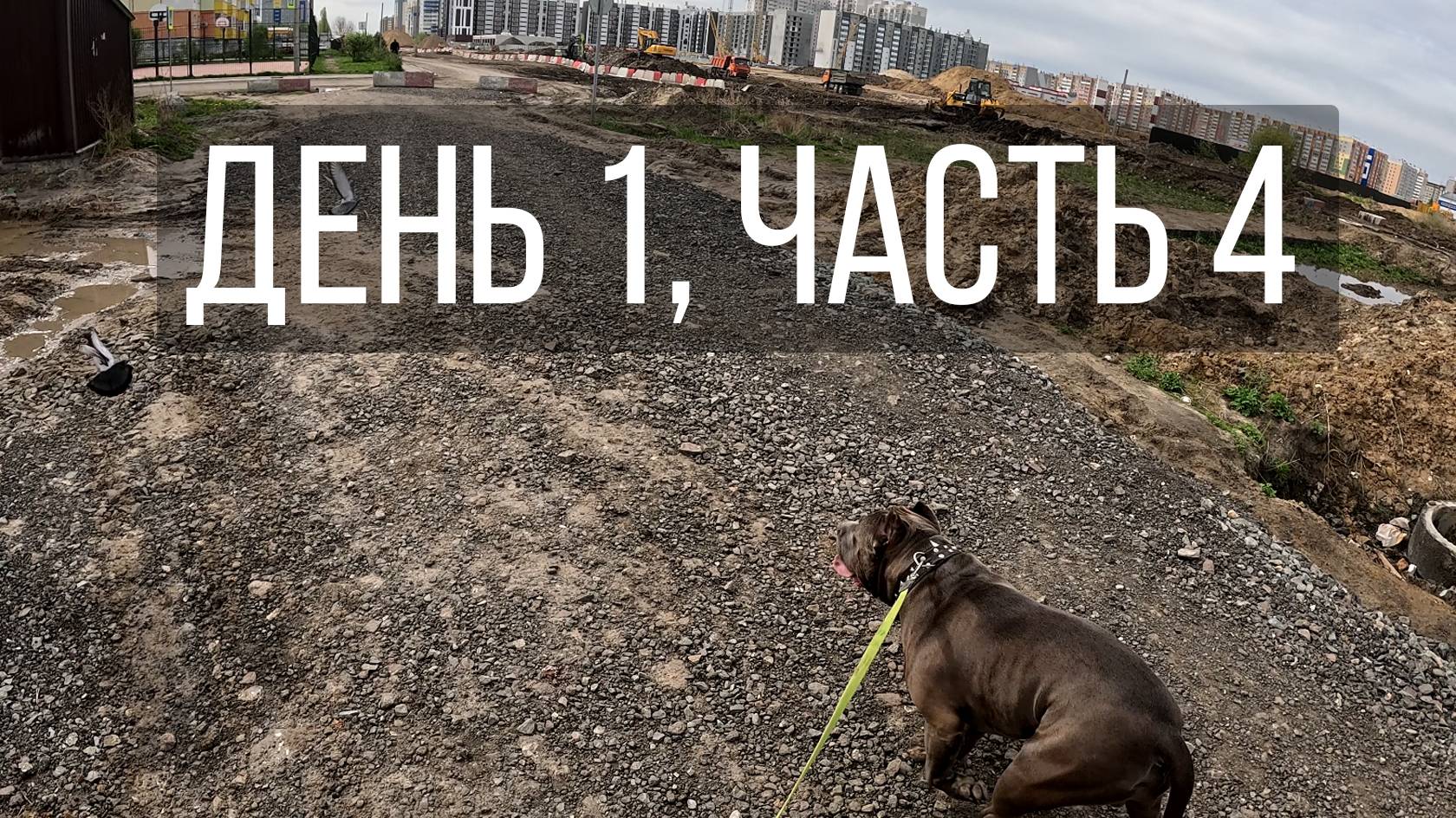 День 1, часть 4