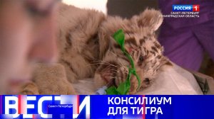 Вести Санкт-Петербург. Выпуск 21.10 от 14.05.2025