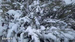 6 января Рождественский сочельник . Что нельзя делать 6