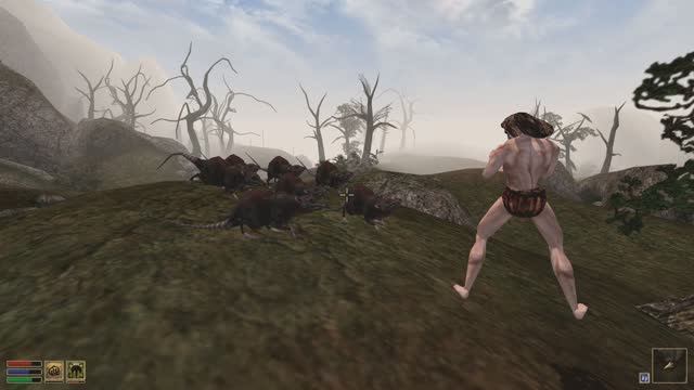 Morrowind. Дело №1. Хлормар Пьянь