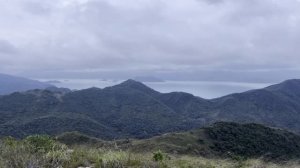 Совместимость женщина-Телец и мужчина-Лев