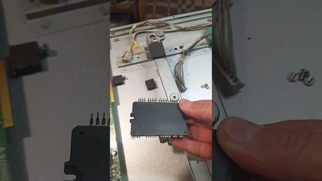 Государство опять сильно потопталось на моей жизни, у?