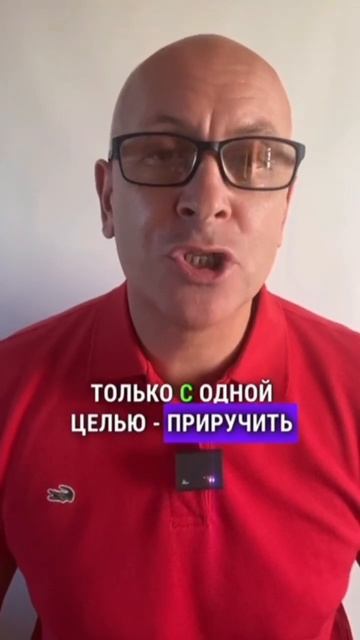 Есть люди, которые любят учить смотреть онлайн